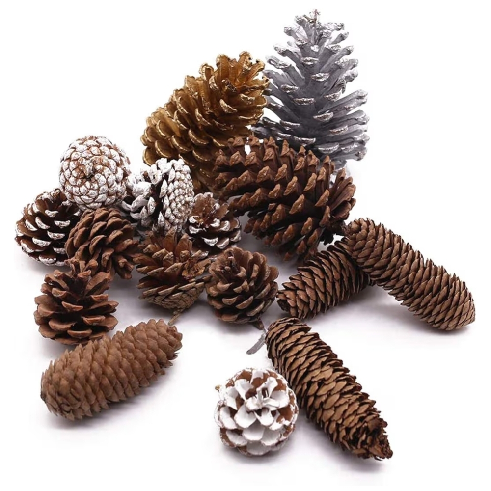 New 17 Pcs Natural Festive Pine Cone Set In Assorted Sizes